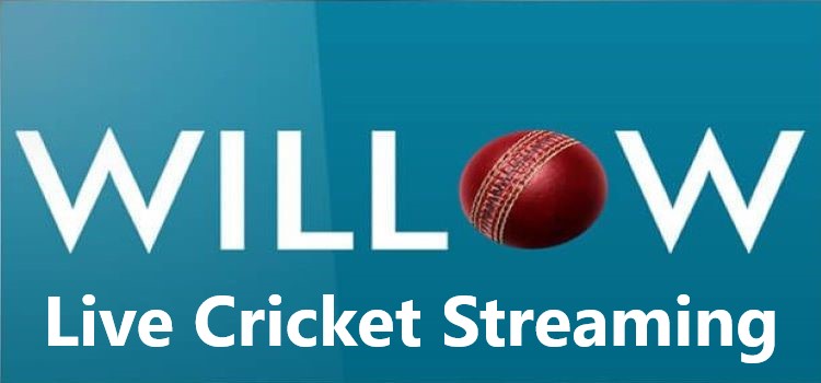 willow sports live cricket